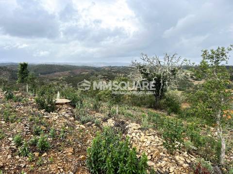 Quintinha T3 Venda em Santana da Serra,Ourique