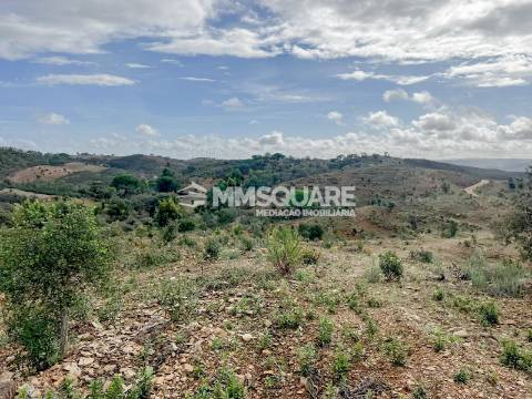 Quintinha T3 Venda em Santana da Serra,Ourique