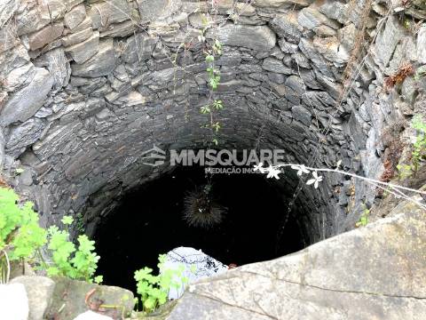 Quintinha T3 Venda em Santana da Serra,Ourique