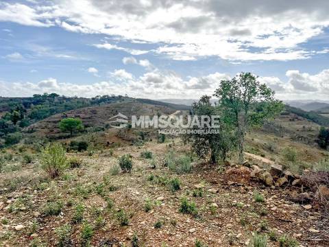 Quintinha T3 Venda em Santana da Serra,Ourique