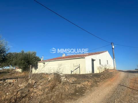 Quintinha T7 Venda em Ourique,Ourique