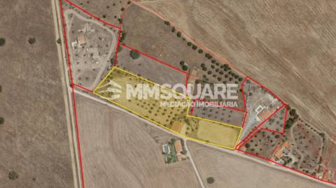 Quintinha T7 Venda em Ourique,Ourique