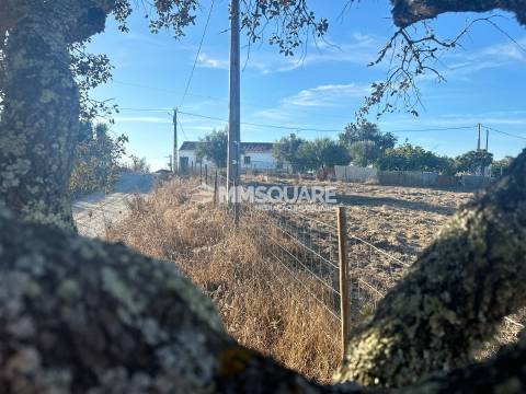 Quintinha T7 Venda em Ourique,Ourique