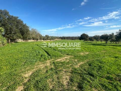 Quintinha T1 Venda em Ourique,Ourique