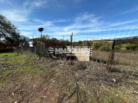 Lote de Terreno