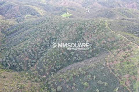 Terreno Rústico  Venda em Santana da Serra,Ourique