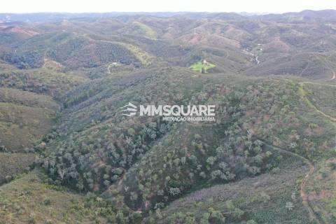 Terreno Rústico  Venda em Santana da Serra,Ourique