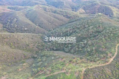 Terreno Rústico  Venda em Santana da Serra,Ourique