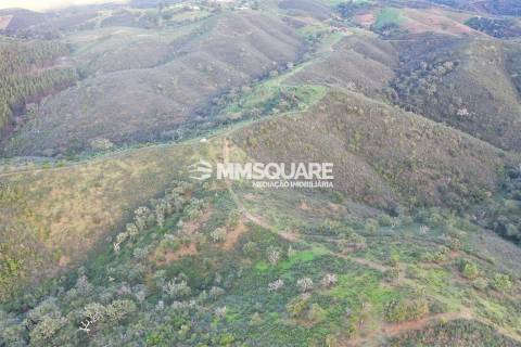 Terreno Rústico  Venda em Santana da Serra,Ourique