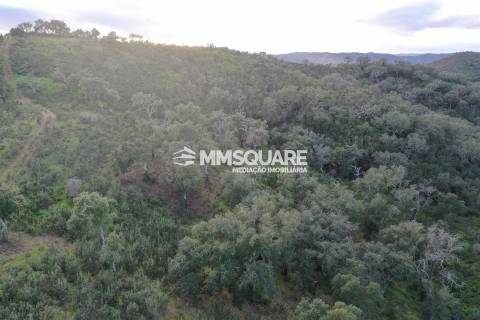 Terreno Rústico  Venda em Santana da Serra,Ourique