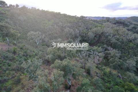 Terreno Rústico  Venda em Santana da Serra,Ourique