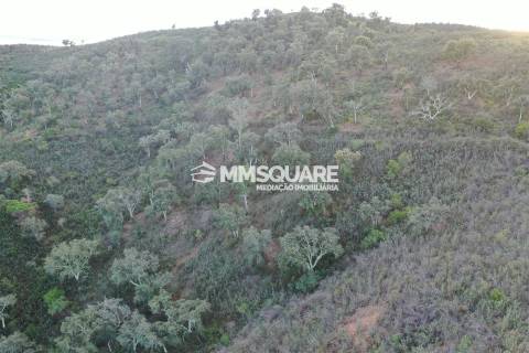 Terreno Rústico  Venda em Santana da Serra,Ourique