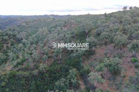 Terreno Rústico  Venda em Santana da Serra,Ourique