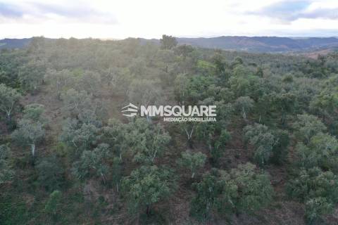 Terreno Rústico  Venda em Santana da Serra,Ourique