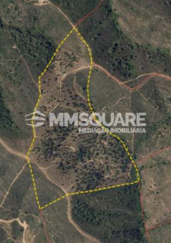 Terreno Rústico  Venda em Santana da Serra,Ourique