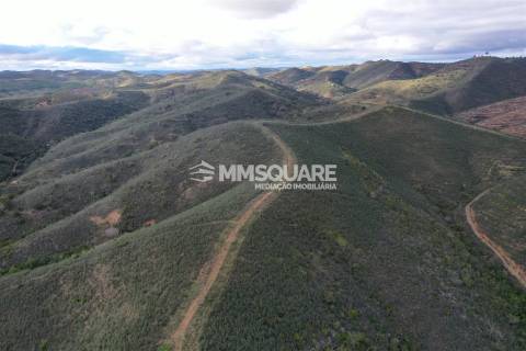 Terreno Rústico  Venda em Santana da Serra,Ourique