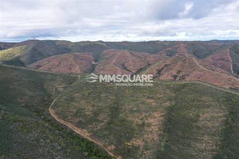 Terreno Rústico  Venda em Santana da Serra,Ourique