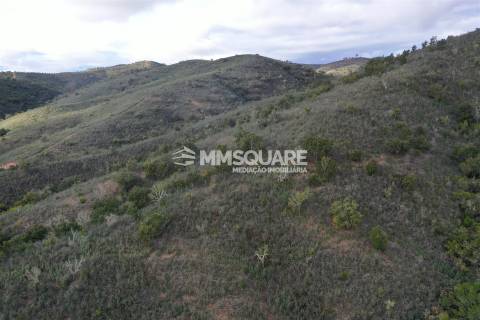 Terreno Rústico  Venda em Santana da Serra,Ourique