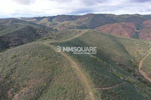 Terreno Rústico  Venda em Santana da Serra,Ourique