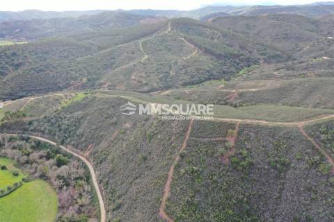 Terreno Rústico  Venda em Santana da Serra,Ourique