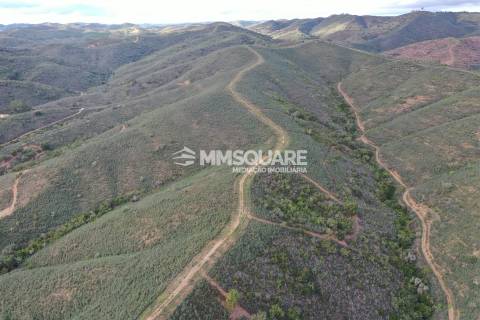 Terreno Rústico  Venda em Santana da Serra,Ourique