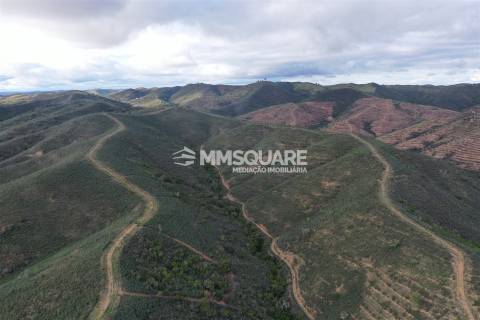 Terreno Rústico  Venda em Santana da Serra,Ourique