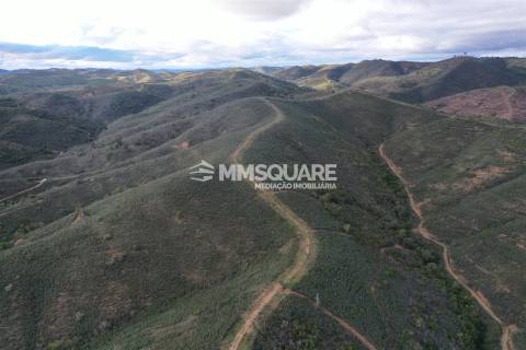 Terreno Rústico  Venda em Santana da Serra,Ourique