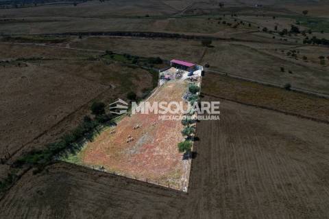 Quintinha - Aivados, Castro Verde