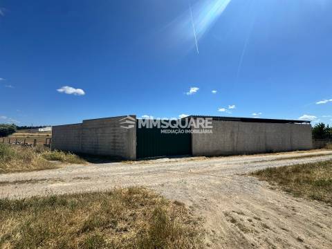 Quintinha - Aivados, Castro Verde