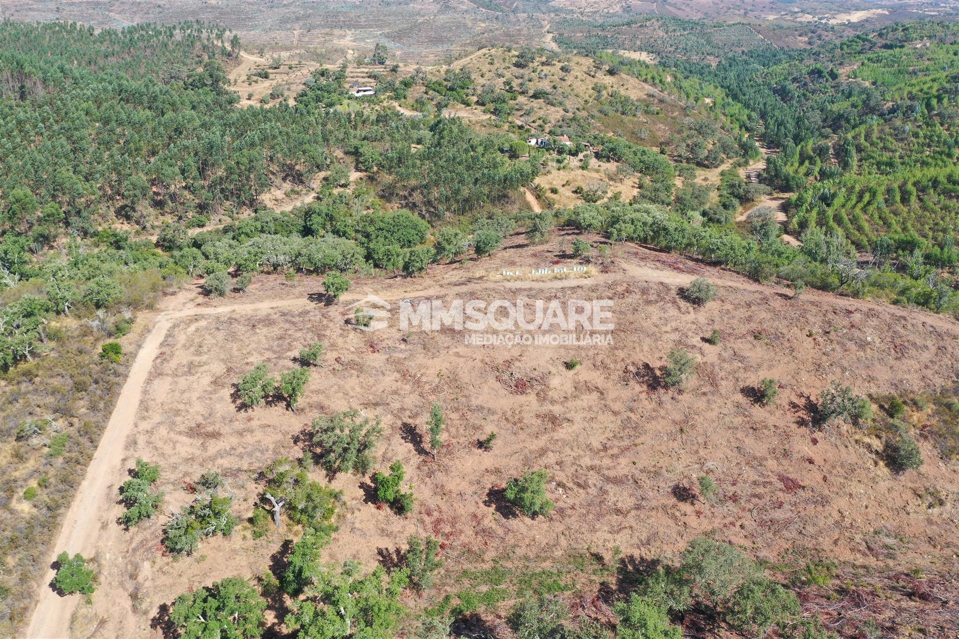 Terreno Rústico  Venda em Ourique,Ourique