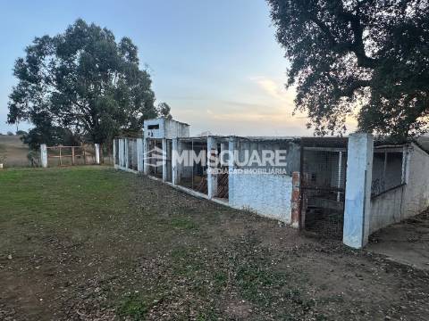 Moradia T2 Torre Vã - Panóias