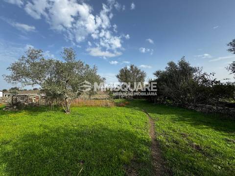 Quintinha T3 Venda em Ourique,Ourique