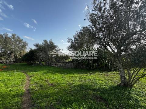 Quintinha T3 Venda em Ourique,Ourique