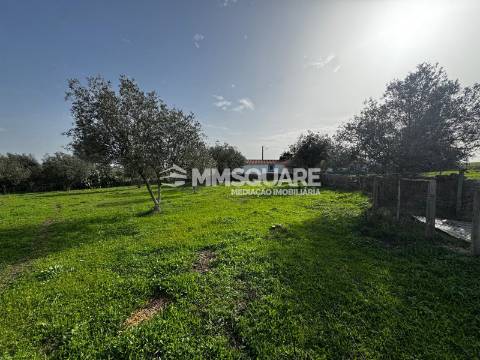 Quintinha T3 Venda em Ourique,Ourique