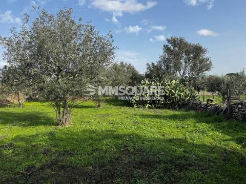 Quintinha T3 Venda em Ourique,Ourique