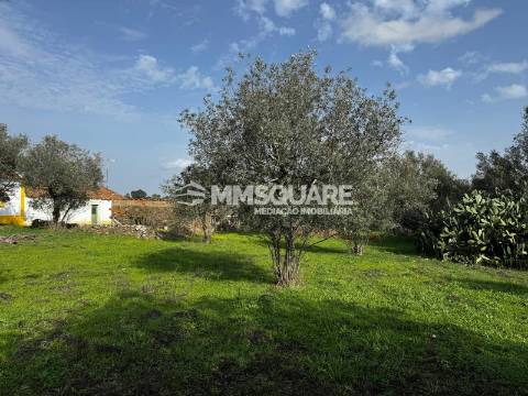 Quintinha T3 Venda em Ourique,Ourique