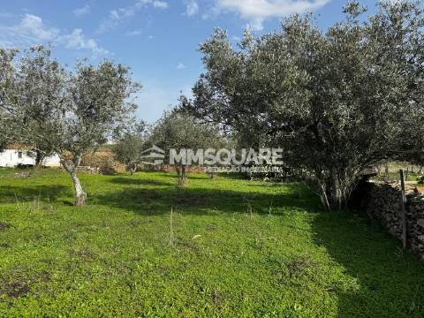 Quintinha T3 Venda em Ourique,Ourique