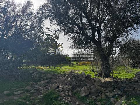 Quintinha T3 Venda em Ourique,Ourique