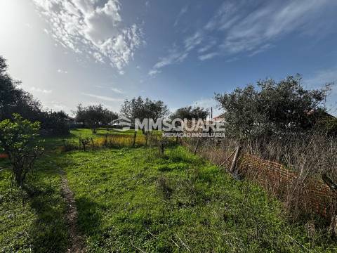 Quintinha T3 Venda em Ourique,Ourique