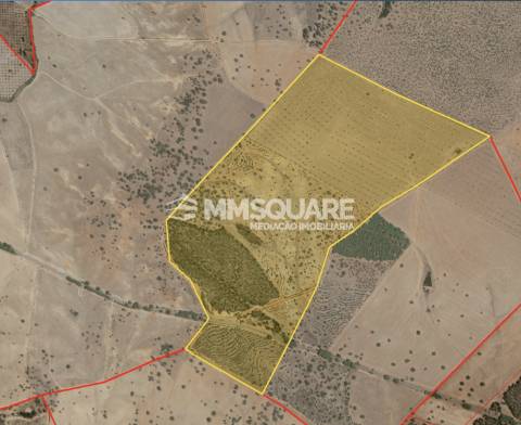 Herdade  Venda em Garvão e Santa Luzia,Ourique