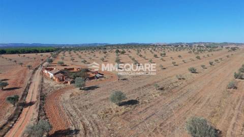Herdade  Venda em Garvão e Santa Luzia,Ourique