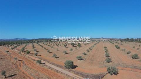 Herdade  Venda em Garvão e Santa Luzia,Ourique