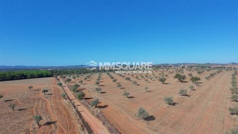 Herdade  Venda em Garvão e Santa Luzia,Ourique