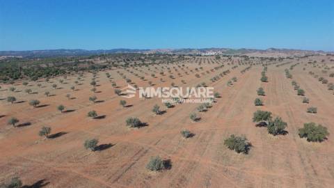 Herdade  Venda em Garvão e Santa Luzia,Ourique