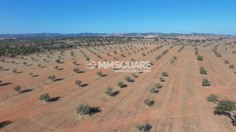Herdade  Venda em Garvão e Santa Luzia,Ourique