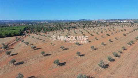 Herdade  Venda em Garvão e Santa Luzia,Ourique