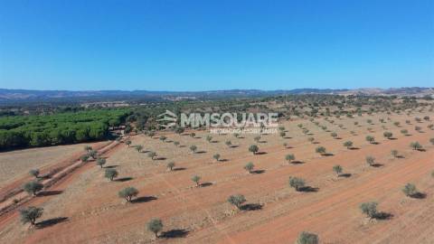 Herdade  Venda em Garvão e Santa Luzia,Ourique