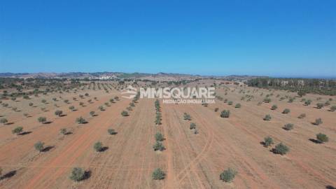 Herdade  Venda em Garvão e Santa Luzia,Ourique