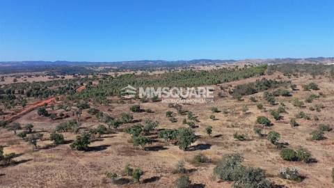 Herdade  Venda em Garvão e Santa Luzia,Ourique