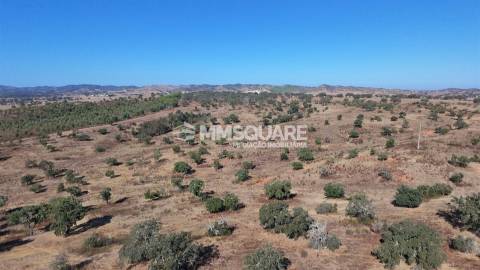 Herdade  Venda em Garvão e Santa Luzia,Ourique